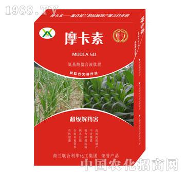 (j)ˎҺķ-Ħ-(qing)о(gu)H