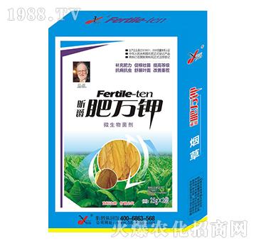 ݌(zhun)÷f(wn)-꿾
