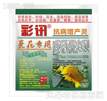 (zhun)ÿa(chn)`-Ӎ-S