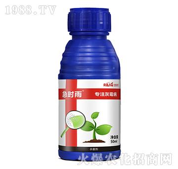 ùÚ-r(sh)-к(rn)