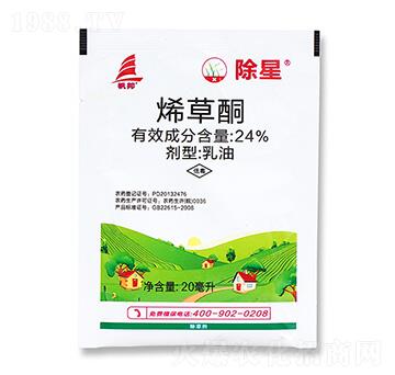 24%ϩͪ--ϲS