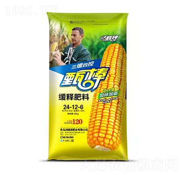 ጷ24-12-6--(rn)ԴʘI(y)