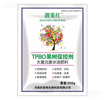 TPBOٿ؄-nt-