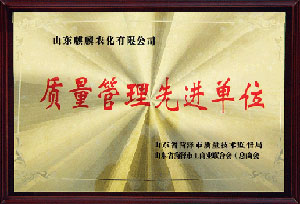 質(zhì)量管理先進單位