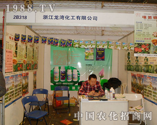 㽭ϲ2012ڶʮˌȫ(gu)ֲp(hu)