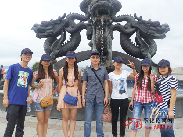 我的小團隊