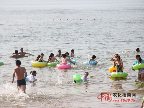 海灘嬉戲