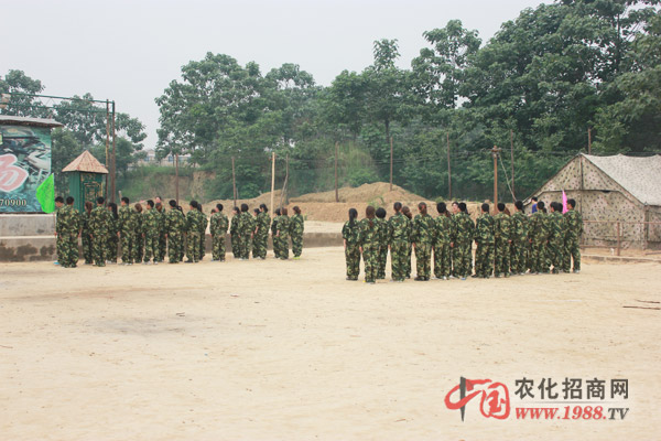 組建團(tuán)隊(duì)的一瞬間