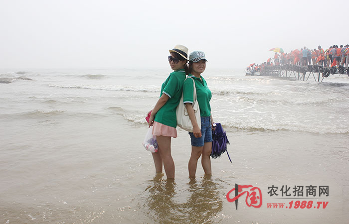 大海