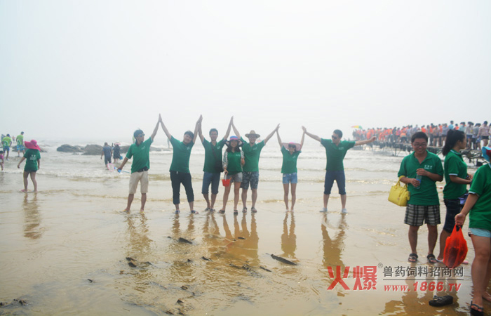 海水浴場戲水