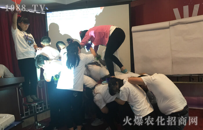 合作才能共贏,付出才有收獲