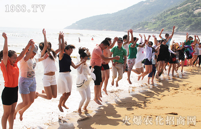 去看那片海
