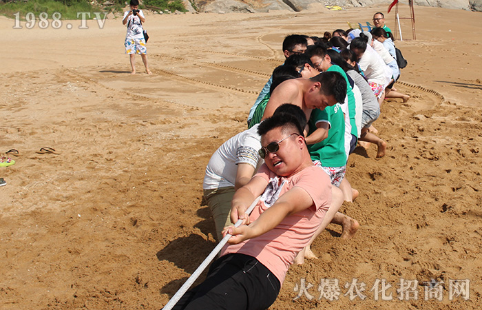 淺談公司旅游中遵守組織安排的重要性
