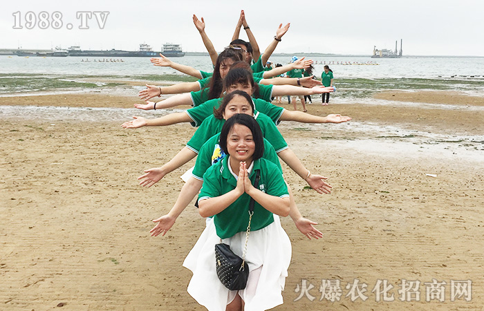 一起感受海邊的美麗