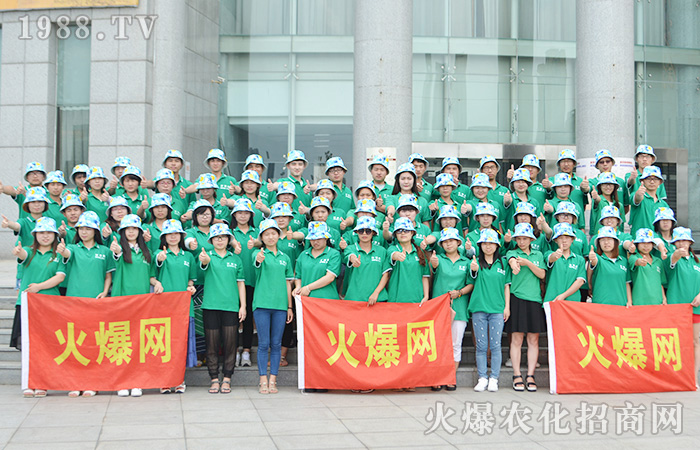 九年火爆網(wǎng) 五年共相伴