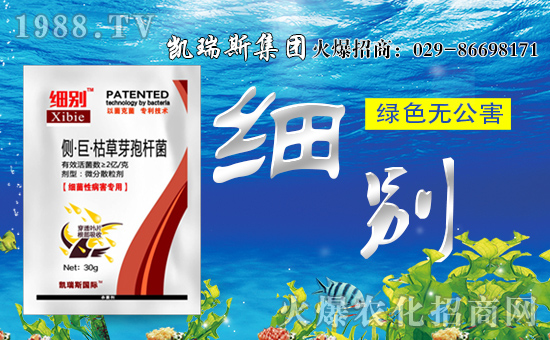 【凱瑞斯集團(tuán)】祝大家生意興!闔家歡樂!