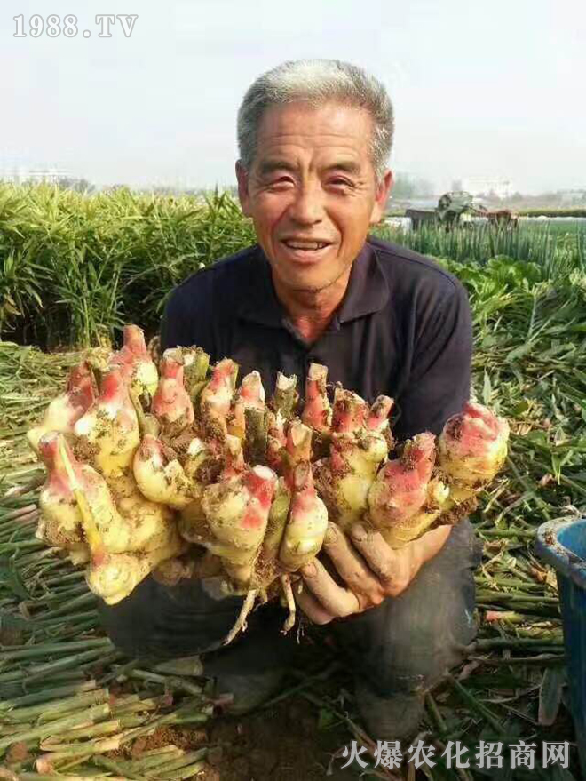 ʢʘI(y)Ƽ޹˾7