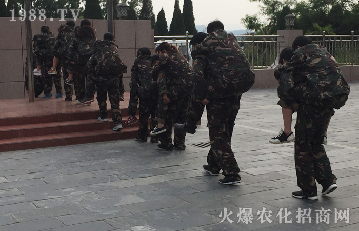 要么等死,要么蛻變重生