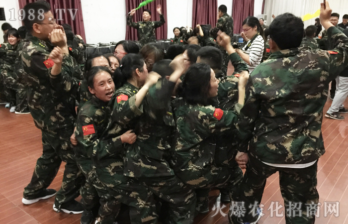 要么等死,要么蛻變重生