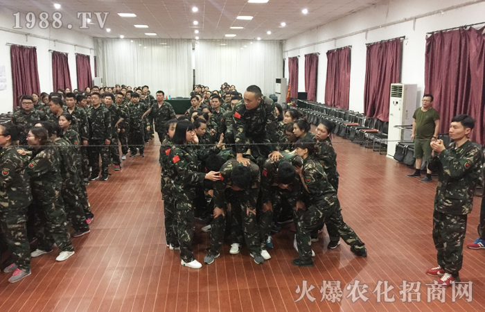 用心去做去堅(jiān)持,你終將會(huì)收獲滿滿!