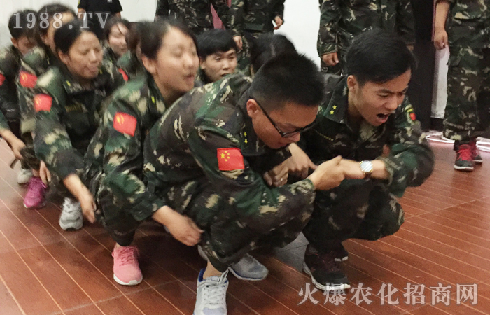 以夢(mèng)為馬,以汗為泉,不忘初心,不負(fù)韶華