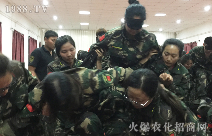 努力和遺憾,哪個更痛苦?