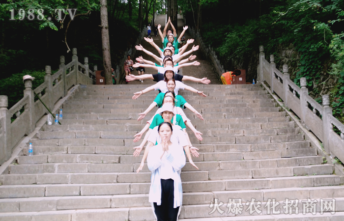 洛陽(yáng)嵩縣白云山之行感悟