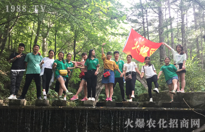 山美,水美,風景美—洛陽白云山旅游小記