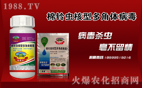 【勇冠喬迪】祝大家在新的一年里萬(wàn)事如意,狗年大吉!