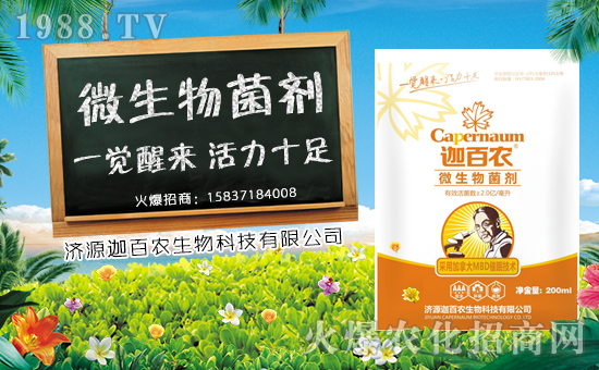 【迦百農(nóng)】恭祝大家新春快樂,幸福安康!
