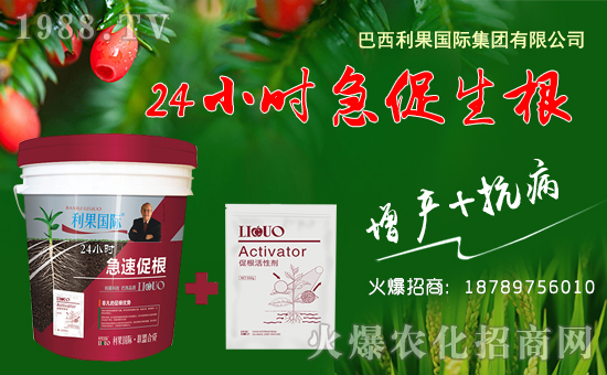 【利果國際】祝大家在新的一年里狗年大吉,萬事如意!