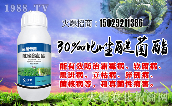 【喬貝爾作物】祝全國(guó)朋友狗年大吉,萬(wàn)事如意!