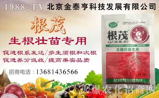 【北京金泰亨】恭祝各位經(jīng)銷(xiāo)商朋友們生意紅火、財(cái)源廣進(jìn)!