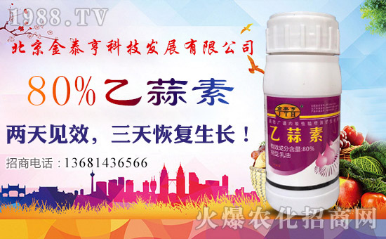 【北京金泰亨】恭祝各位經(jīng)銷(xiāo)商朋友們生意紅火、財(cái)源廣進(jìn)!