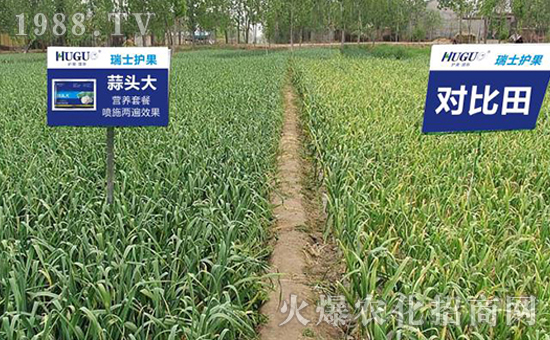 瑞士護(hù)果國際集團(tuán)有限公司