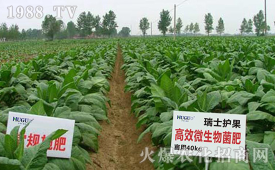 瑞士護(hù)果國際集團(tuán)有限公司