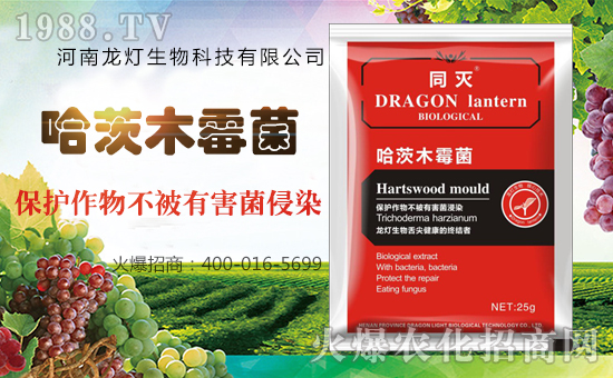 河南龍燈生物科技有限公司
