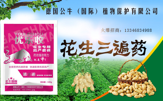 【德國(guó)公牛】祝大家在新的一年里工作順利,步步高升!