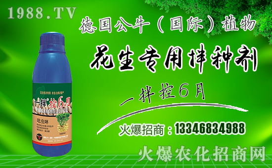 【德國(guó)公!孔4蠹以谛碌囊荒昀锕ぷ黜樌讲礁呱!