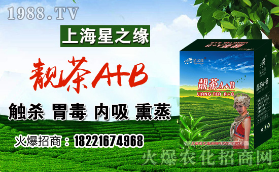靚茶A+B套裝組合-星之緣