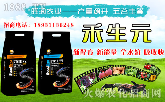 【旺潤(rùn)農(nóng)業(yè)】給您拜年啦!祝您新春大吉,萬(wàn)事如意!