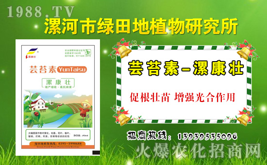 【綠田地植物】祝大家在新的一年里身體健康,萬(wàn)事如意!