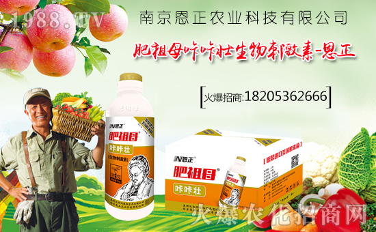 轉(zhuǎn)眼迎來農(nóng)歷年,天增歲月人平安!值此新春佳節(jié)來臨之際,南京恩正農(nóng)業(yè)科技有限公司祝大家在新的一年里身體健康,萬事如意!