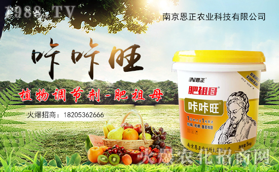 轉(zhuǎn)眼迎來農(nóng)歷年,天增歲月人平安!值此新春佳節(jié)來臨之際,南京恩正農(nóng)業(yè)科技有限公司祝大家在新的一年里身體健康,萬事如意!