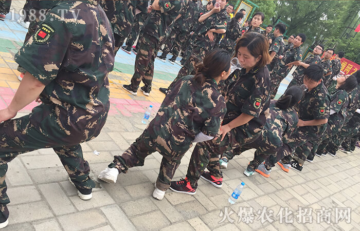 努力到無能為力,感動(dòng)到感動(dòng)自己