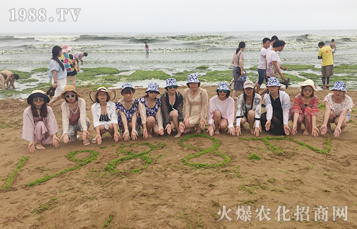 夏日的海風,吹散這炎熱