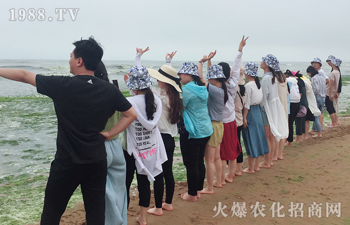 紅瓦綠樹、碧海藍(lán)天;玩沙戲水,放飛自我!