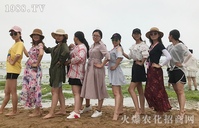 吹風看海,流連忘返!海濱小城,美麗青島!