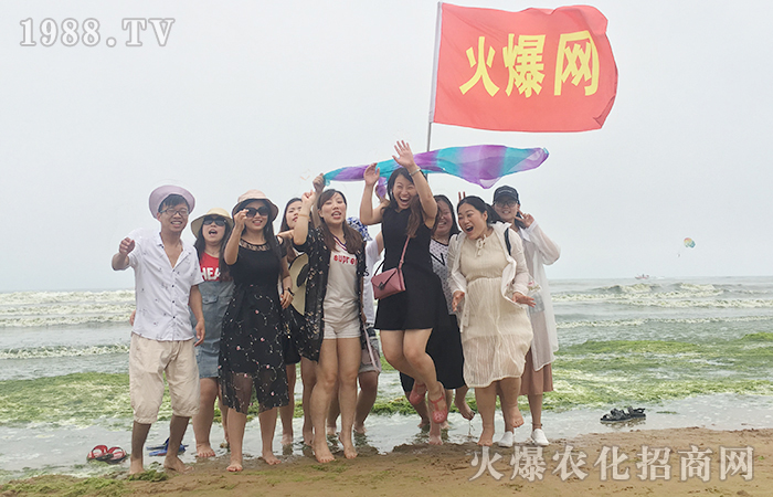 美青島之旅