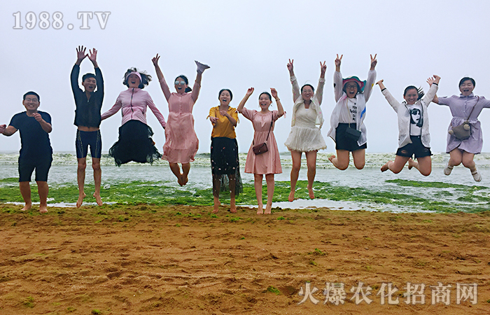 青島旅行感悟和成長